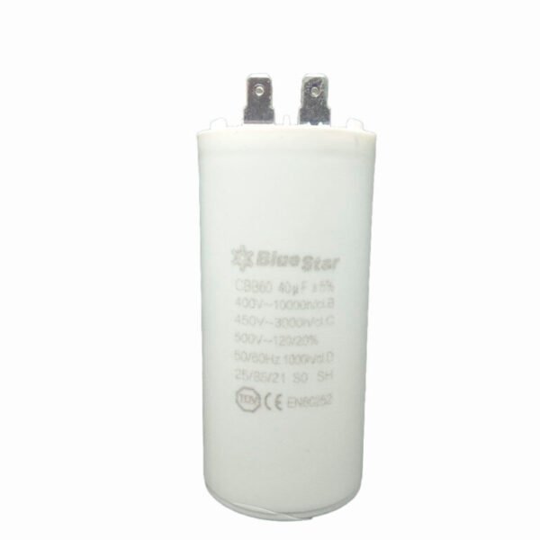 Capacitor BlueStar 40uF CBB60 450V